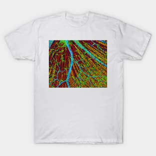 Retina blood vessels and nerve cells (P424/0244) T-Shirt